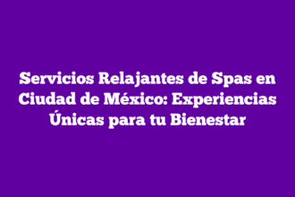Servicios Relajantes de Spas en Ciudad de México: Experiencias Únicas para tu Bienestar
