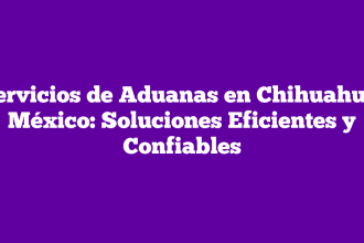 Servicios de Aduanas en Chihuahua, México: Soluciones Eficientes y Confiables