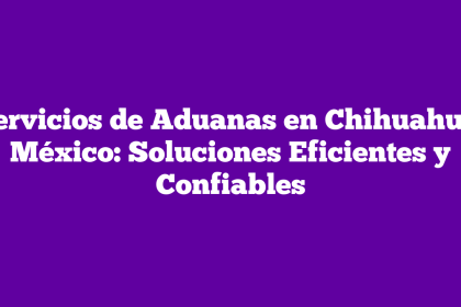 Servicios de Aduanas en Chihuahua, México: Soluciones Eficientes y Confiables