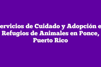 Servicios de Cuidado y Adopción en Refugios de Animales en Ponce, Puerto Rico