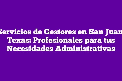 Servicios de Gestores en San Juan, Texas: Profesionales para tus Necesidades Administrativas