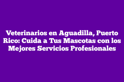 Veterinarios en Aguadilla, Puerto Rico: Cuida a Tus Mascotas con los Mejores Servicios Profesionales