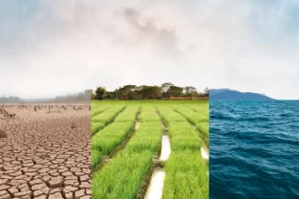 Cómo la IA Nos Ayuda a Afrontar la Crisis Climática - 9