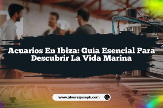 Acuarios en Ibiza: Guía Esencial para Descubrir la Vida Marina