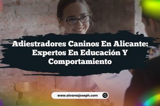 Adiestradores Caninos en Alicante: Expertos en Educación y Comportamiento