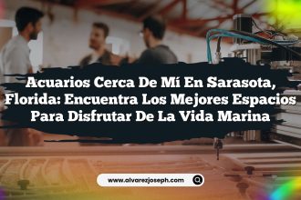 Acuarios Cerca De Mí En Sarasota, Florida: Encuentra los Mejores Espacios para Disfrutar de la Vida Marina