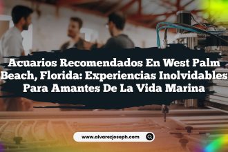 Acuarios Recomendados en West Palm Beach, Florida: Experiencias Inolvidables para Amantes de la Vida Marina