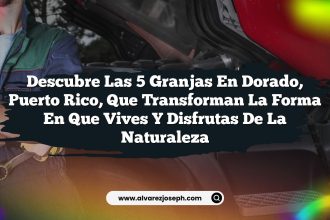Descubre las 5 Granjas en Dorado, Puerto Rico, que Transforman la Forma en que Vives y Disfrutas de la Naturaleza