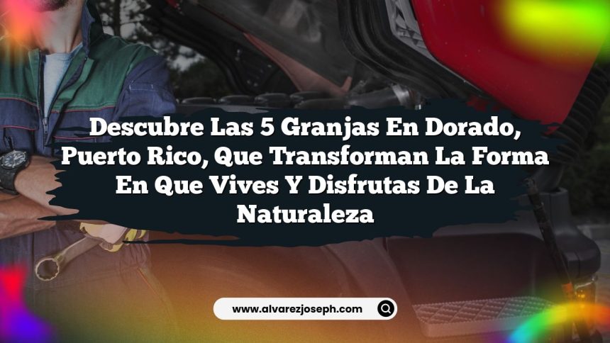 Descubre las 5 Granjas en Dorado, Puerto Rico, que Transforman la Forma en que Vives y Disfrutas de la Naturaleza