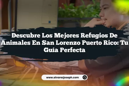 Descubre los Mejores Refugios de Animales en San Lorenzo Puerto Rico: Tu Guía Perfecta