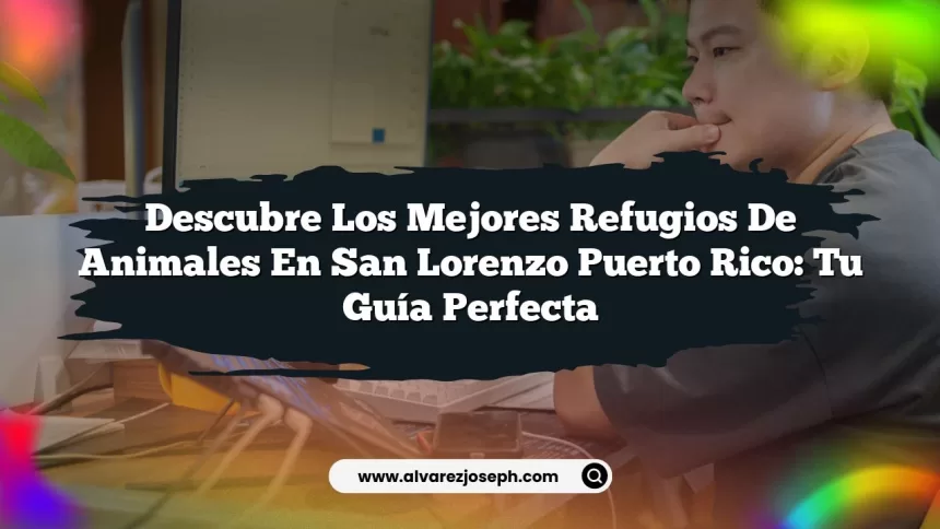 Descubre los Mejores Refugios de Animales en San Lorenzo Puerto Rico: Tu Guía Perfecta