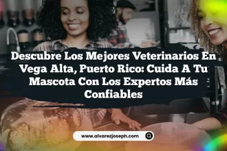 Descubre los Mejores Veterinarios en Vega Alta, Puerto Rico: Cuida a tu Mascota con los Expertos Más Confiables
