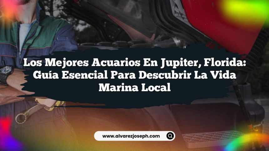 Los Mejores Acuarios en Jupiter, Florida: Guía Esencial para Descubrir la Vida Marina Local