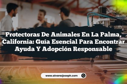 Protectoras de Animales en La Palma, California: Guía Esencial para Encontrar Ayuda y Adopción Responsable