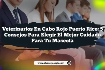 Veterinarios En Cabo Rojo Puerto Rico: 5 Consejos para Elegir el Mejor Cuidado para tu Mascota