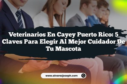 Veterinarios En Cayey Puerto Rico: 5 Claves para Elegir al Mejor Cuidador de Tu Mascota