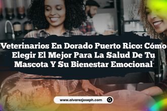 Veterinarios en Dorado Puerto Rico: Cómo Elegir el Mejor para la Salud de Tu Mascota y su Bienestar Emocional