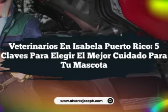 Veterinarios en Isabela Puerto Rico: 5 Claves para Elegir el Mejor Cuidado para tu Mascota