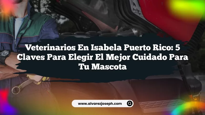 Imagen de Veterinarios en Isabela Puerto Rico: 5 Claves para Elegir el Mejor Cuidado para tu Mascota Veterinarios en Isabela Puerto Rico: 5 Claves para Elegir el Mejor Cuidado para tu Mascota