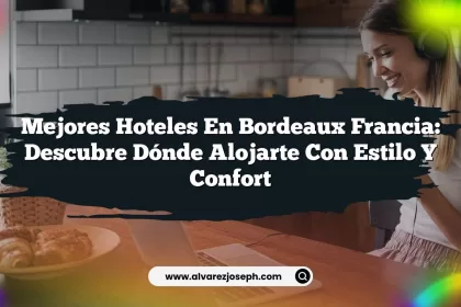 Mejores Hoteles En Bordeaux Francia: Descubre Dónde Alojarte Con Estilo y Confort