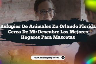 Refugios De Animales En Orlando Florida Cerca De Mí: Descubre Los Mejores Hogares Para Mascotas