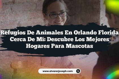 Refugios De Animales En Orlando Florida Cerca De Mí: Descubre Los Mejores Hogares Para Mascotas