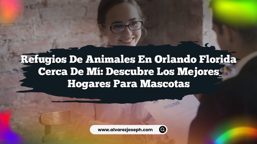 Refugios De Animales En Orlando Florida Cerca De Mí: Descubre Los Mejores Hogares Para Mascotas