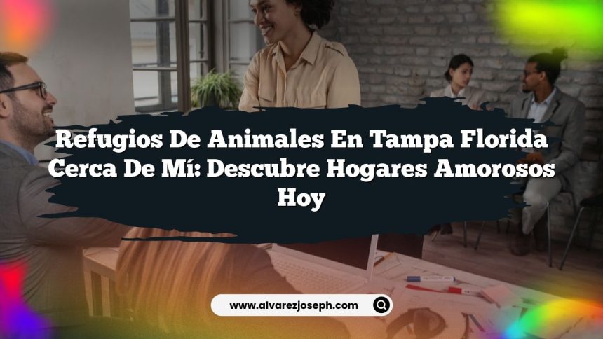 Refugios De Animales En Tampa Florida Cerca De Mí: Descubre Hogares Amorosos Hoy