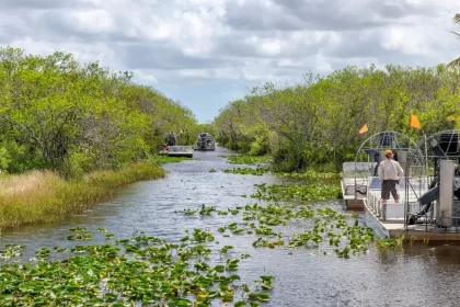 Parque Nacional Everglades: El Lugar Más Icónico de Florida, Según la IA - 15