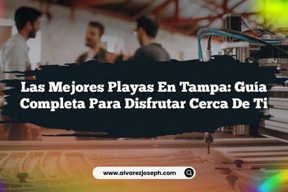 Las Mejores Playas en Tampa: Guía Completa para Disfrutar Cerca de Ti