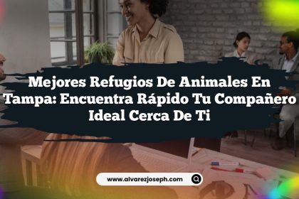 Mejores Refugios de Animales en Tampa: Encuentra Rápido Tu Compañero Ideal Cerca de Ti