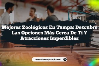 Mejores Zoológicos en Tampa: Descubre las Opciones Más Cerca de Ti y Atracciones Imperdibles