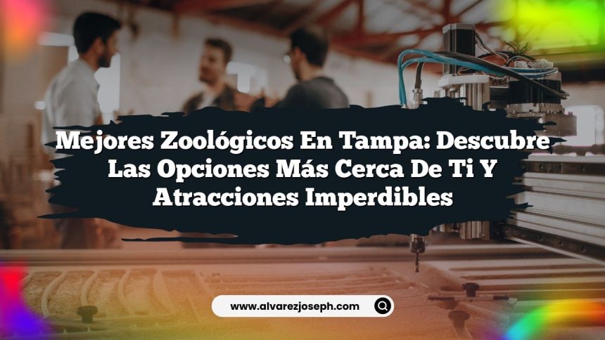 Mejores Zoológicos en Tampa: Descubre las Opciones Más Cerca de Ti y Atracciones Imperdibles