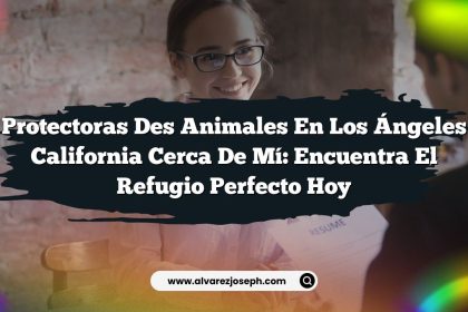 Protectoras Des Animales En Los Ángeles California Cerca De Mí: Encuentra el Refugio Perfecto Hoy