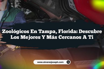 Zoológicos en Tampa, Florida: Descubre los Mejores y Más Cercanos a Ti
