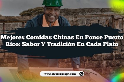 Mejores Comidas Chinas en Ponce Puerto Rico: Sabor y Tradición en Cada Plato