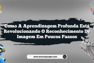 Como a aprendizagem profunda está revolucionando o reconhecimento de imagem em poucos passos